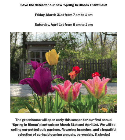 spring in bloom plant sale plant life designs