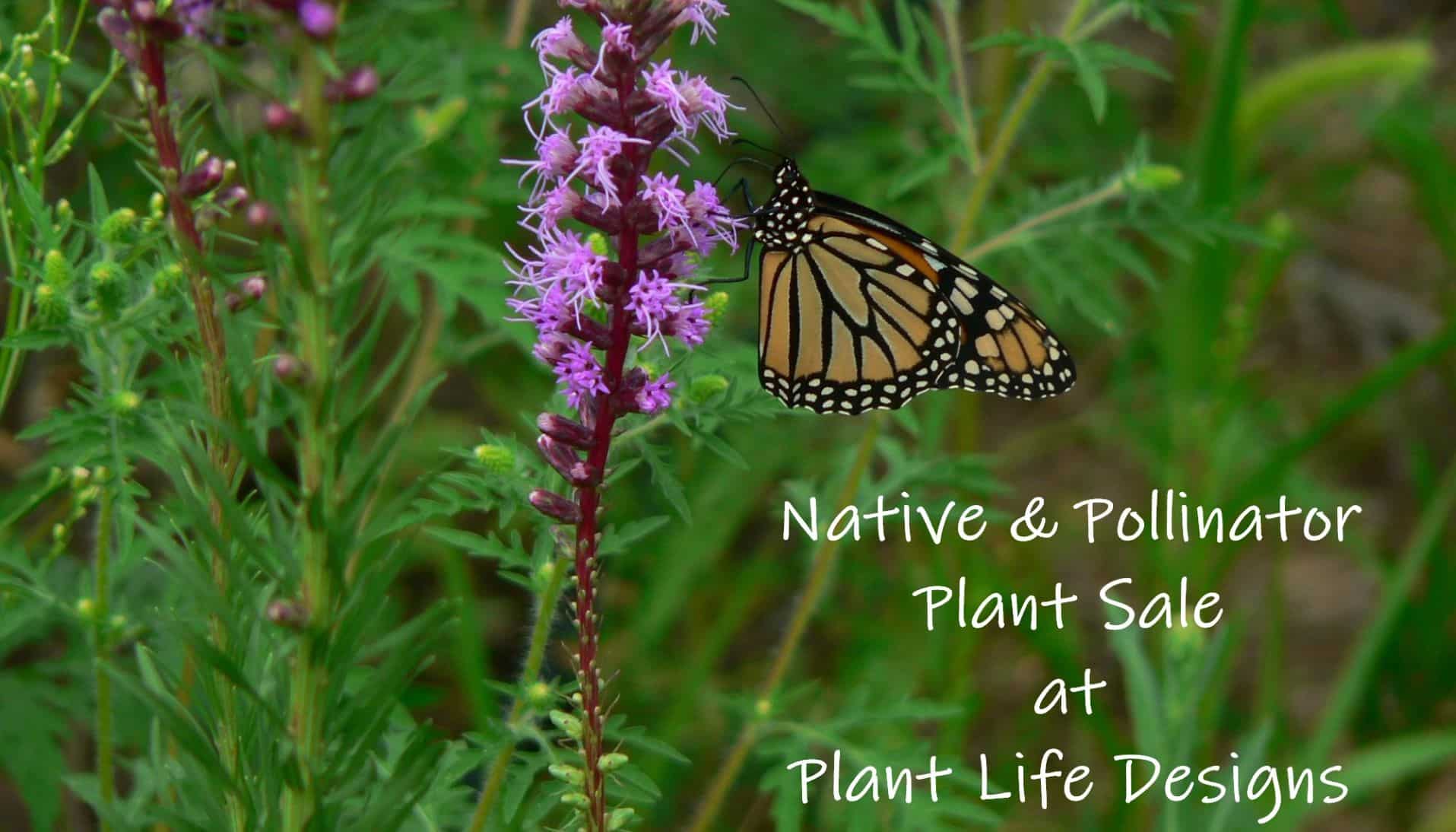 Native & Pollinator Plant Sale - Plant Life Designs