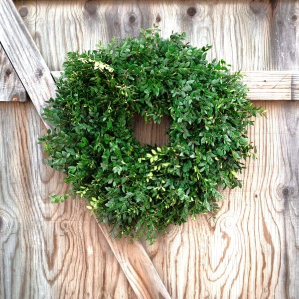 Boxwood Wreath