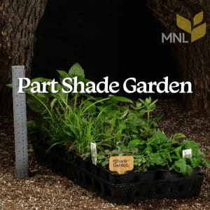 Part Shades Garden